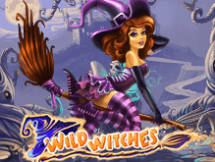 Wild Witches