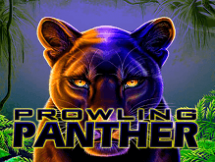 Prowling Panther